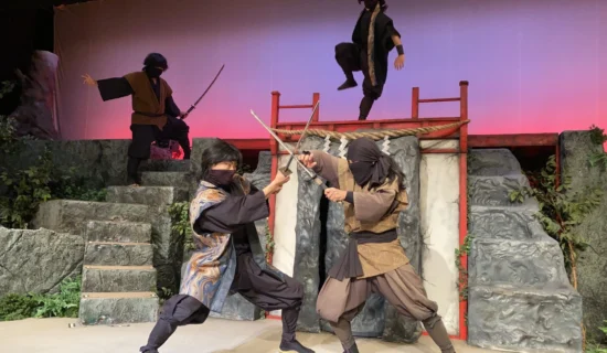 ともいきの国 伊勢忍者キングダム