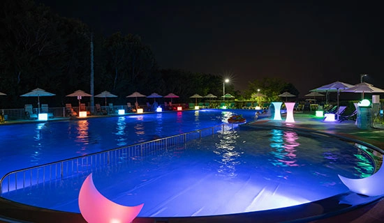 데이 풀 & 나이트 풀, 딱정벌레 채취